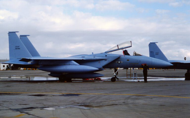 461 Fighter Squadron – Eagle Country