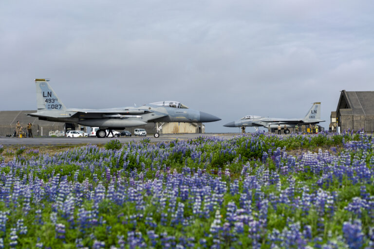 493 Fighter Squadron – Eagle Country