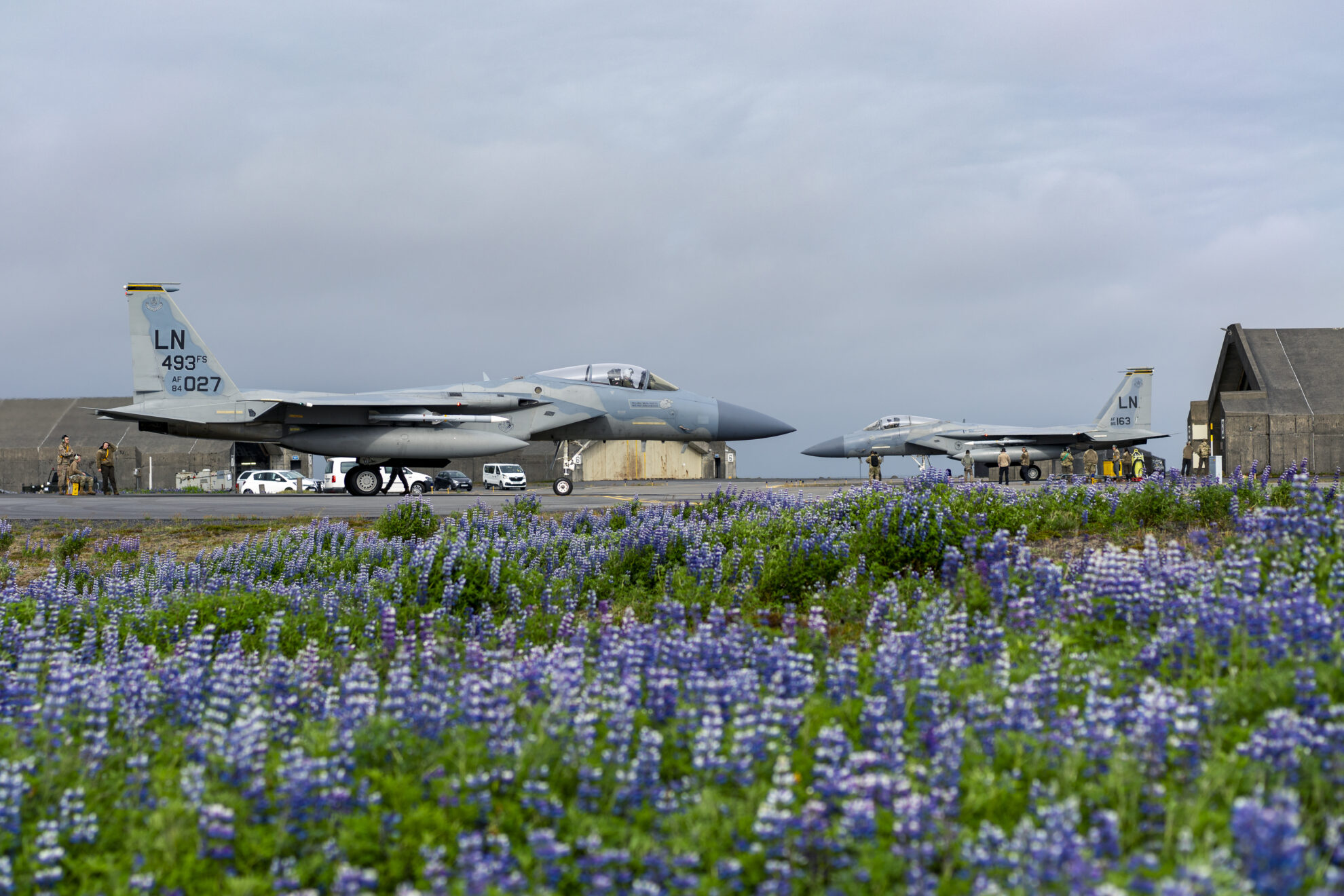 493 FS “Grim Reapers” Iceland Air Policing 2021 – Eagle Country